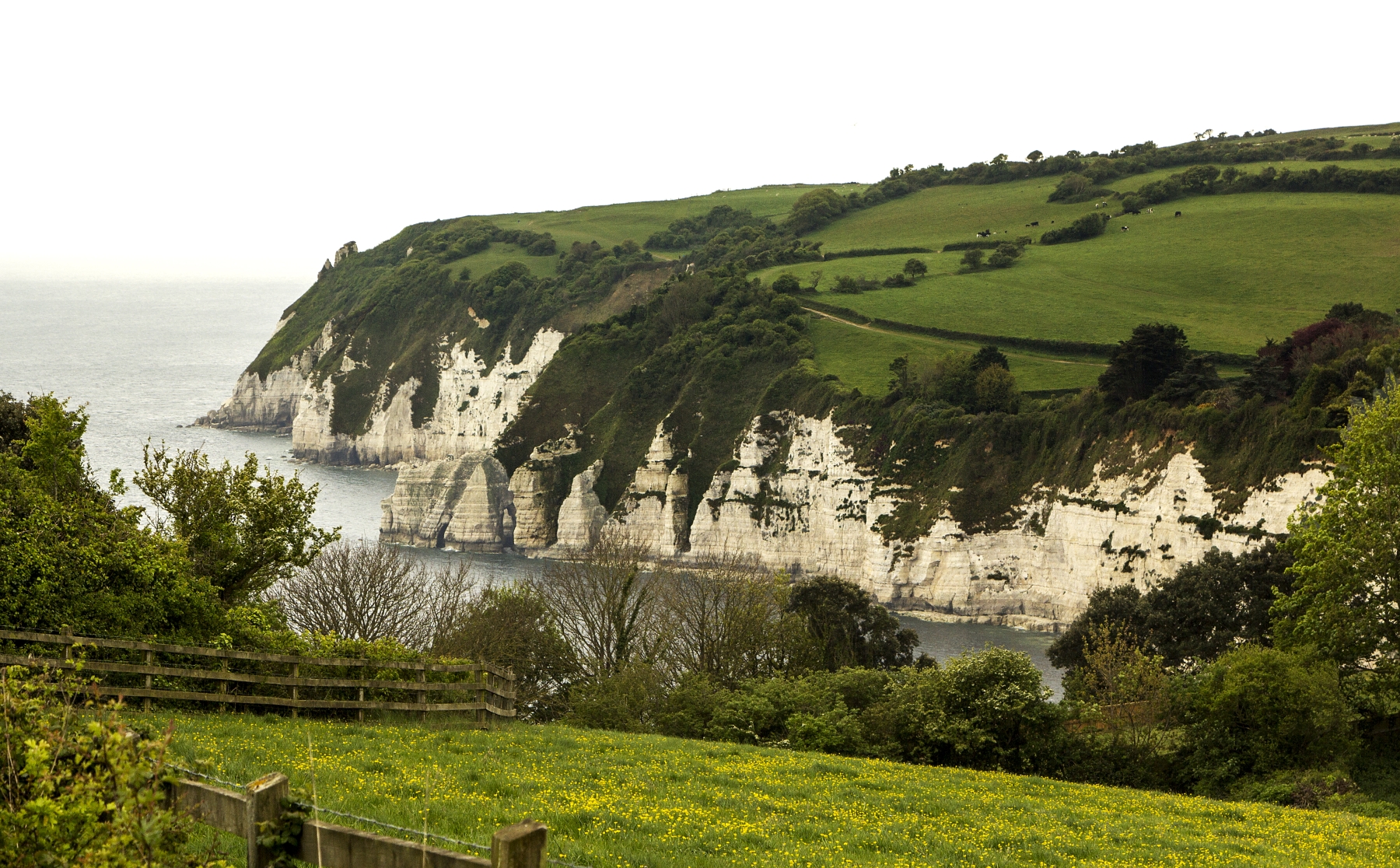 /gallery/west_europe/UK/Devonshire/beer/Beer England May 2017-011_med.jpg